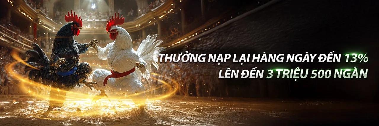 Hình ảnh chính Mã khuyến mãi Roobet