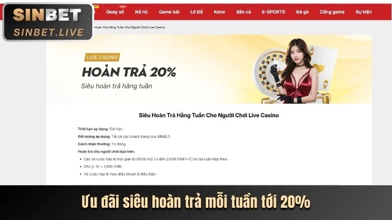 Các loại mã khuyến mãi Roobet khác nhau và lợi ích của chúng
